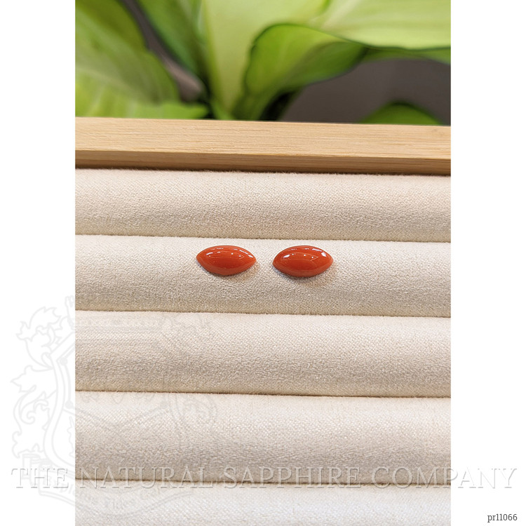 3.60 Ct.Tw. Cabochon Coral Pair from Italy