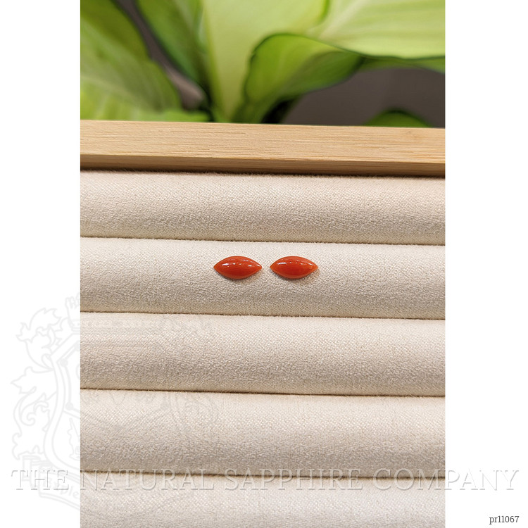 1.33 Ct.Tw. Cabochon Coral Pair from Italy