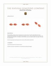 1.45 Ct.Tw.Total Carat Weight Orange Cabochon Coral Pair from Italy Appraisal