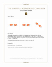 0.74 Ct.Tw.Total Carat Weight Salmon (Orange) Cabochon Coral Pair from Italy Appraisal