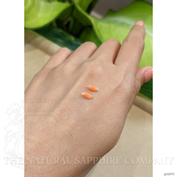 0.74 Ct.Tw. Cabochon Coral Pair from Italy