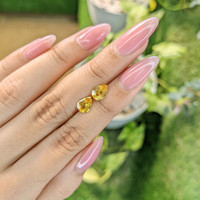 1.97&nbsp;Ct.Tw.Total Carat Weight Yellow Sapphire Pair from Ceylon (Sri Lanka) Life Style