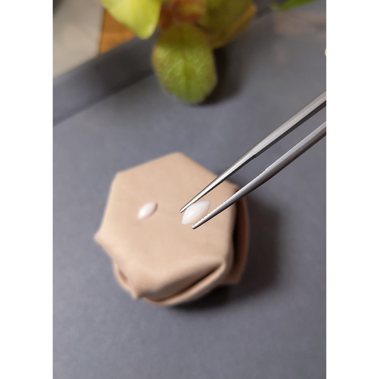 0.84 Ct.Tw. Cabochon Coral Pair from Italy