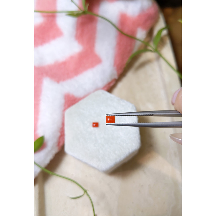 0.32 Ct.Tw. Cabochon Coral Pair from Italy