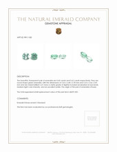 1.22&nbsp;Ct.Tw.Total Carat Weight Emerald Pair from Russia Appraisal