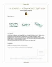 5.52&nbsp;Ct.Tw.Total Carat Weight Paraiba Tourmaline Pair from Africa Appraisal