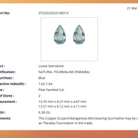 6.38&nbsp;Ct.Tw.Total Carat Weight Paraiba Tourmaline Pair from Africa Scan Report