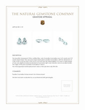 7.66&nbsp;Ct.Tw.Total Carat Weight Paraiba Tourmaline Pair from Africa Appraisal