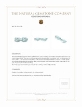 12.06&nbsp;Ct.Tw.Total Carat Weight Paraiba Tourmaline Pair from Africa Appraisal