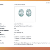 12.06&nbsp;Ct.Tw.Total Carat Weight Paraiba Tourmaline Pair from Africa Scan Report