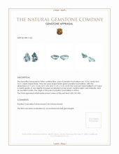 20.77&nbsp;Ct.Tw.Total Carat Weight Paraiba Tourmaline Pair from Africa Appraisal