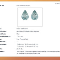 20.77 Ct.Tw.Total Carat Weight Paraiba Tourmaline Pair from Africa Scan Report