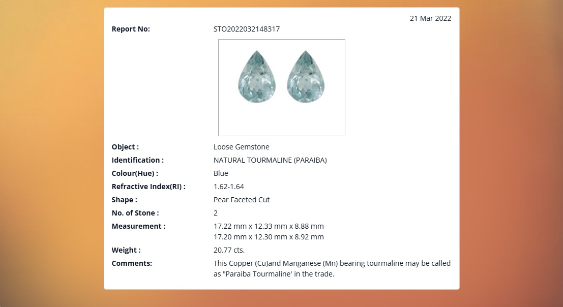 20.77 Ct.Tw. Paraiba Tourmaline Pair from Africa