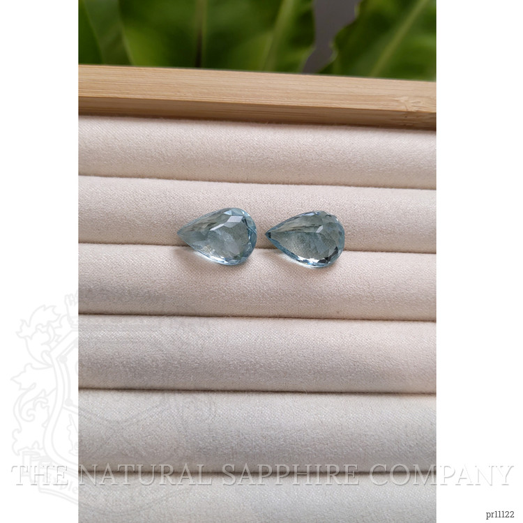 20.77 Ct.Tw. Paraiba Tourmaline Pair from Africa