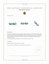 18.81&nbsp;Ct.Tw.Total Carat Weight Paraiba Tourmaline Pair from Africa Appraisal