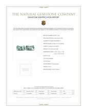 18.81 Ct.Tw.Total Carat Weight Paraiba Tourmaline Pair from Africa Scan Report