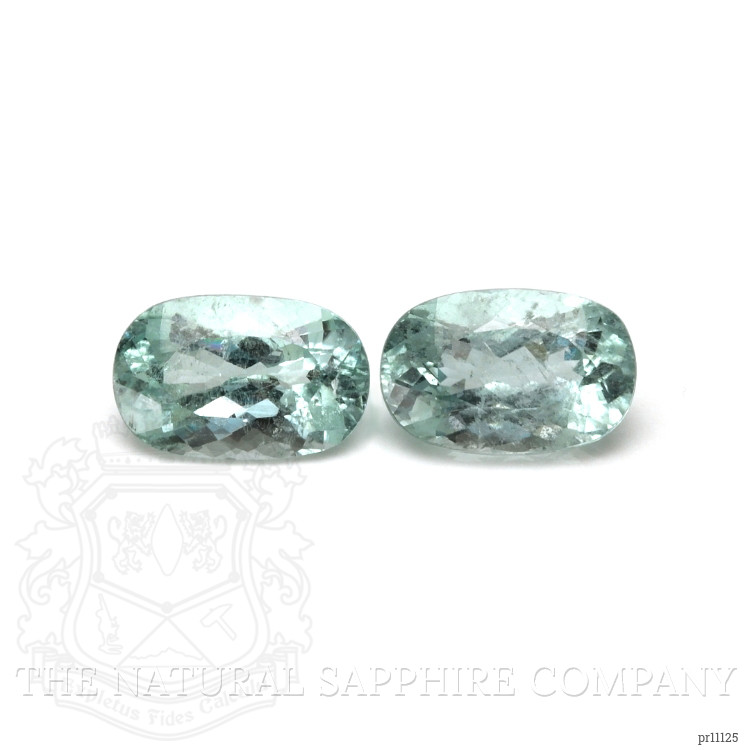 18.81 Ct.Tw. Paraiba Tourmaline Pair from Africa