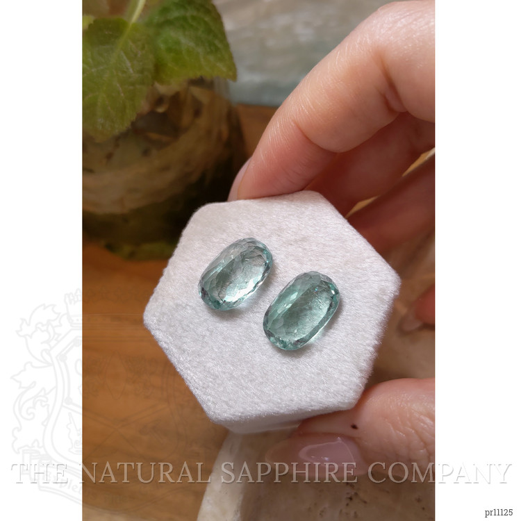 18.81 Ct.Tw. Paraiba Tourmaline Pair from Africa