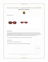 1.63&nbsp;Ct.Tw.Total Carat Weight Garnet Pair from Ceylon (Sri Lanka) Appraisal