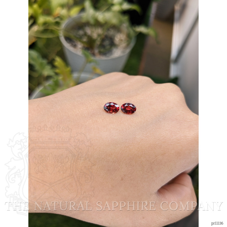 1.64 Ct.Tw. Garnet Pair from Ceylon (Sri Lanka)