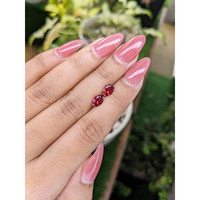 1.62&nbsp;Ct.Tw.Total Carat Weight Garnet Pair from Ceylon (Sri Lanka) Life Style