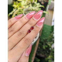 1.69&nbsp;Ct.Tw.Total Carat Weight Garnet Pair from Ceylon (Sri Lanka) Life Style
