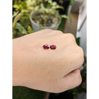 1.63&nbsp;Ct.Tw.Total Carat Weight Garnet Pair from Ceylon (Sri Lanka) Life Style