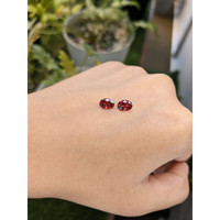 1.65&nbsp;Ct.Tw.Total Carat Weight Garnet Pair from Ceylon (Sri Lanka) Life Style