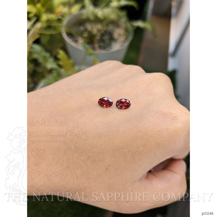 1.65 Ct.Tw. Garnet Pair from Ceylon (Sri Lanka)