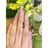 1.71&nbsp;Ct.Tw.Total Carat Weight Garnet Pair from Ceylon (Sri Lanka) Life Style