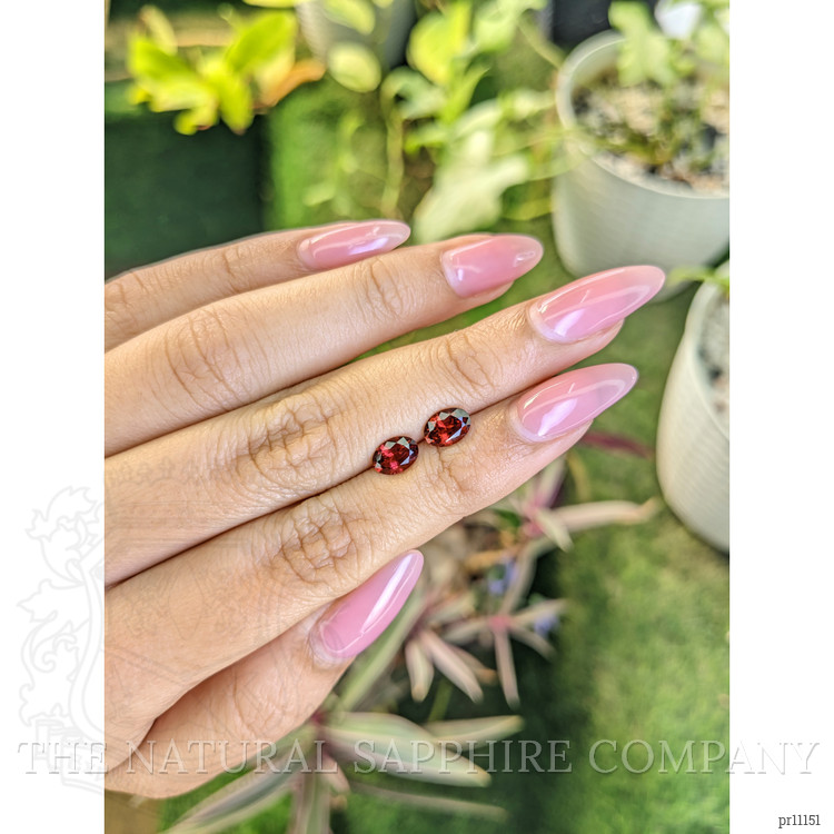 1.69 Ct.Tw. Garnet Pair from Ceylon (Sri Lanka)