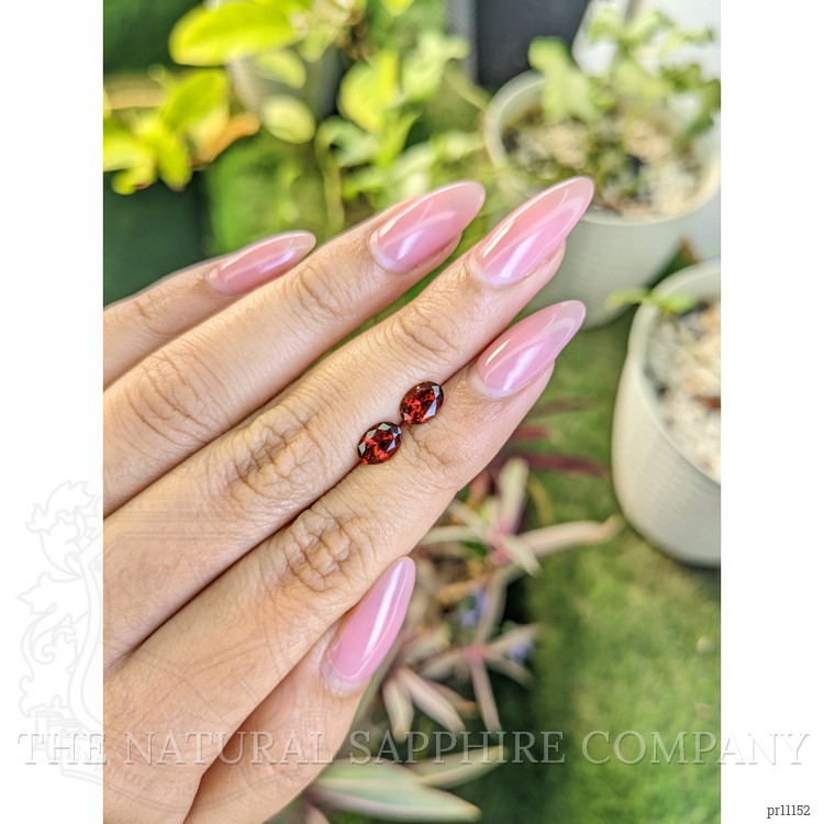1.76 Ct.Tw. Garnet Pair from Ceylon (Sri Lanka)