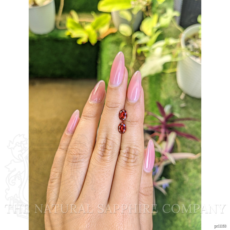 1.62 Ct.Tw. Garnet Pair from Ceylon (Sri Lanka)