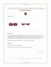 1.75 Ct.Tw.Total Carat Weight Garnet Pair from Ceylon (Sri Lanka) Appraisal