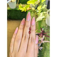 1.75&nbsp;Ct.Tw.Total Carat Weight Garnet Pair from Ceylon (Sri Lanka) Life Style