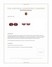 1.70 Ct.Tw.Total Carat Weight Red Garnet Pair from Ceylon (Sri Lanka) Appraisal