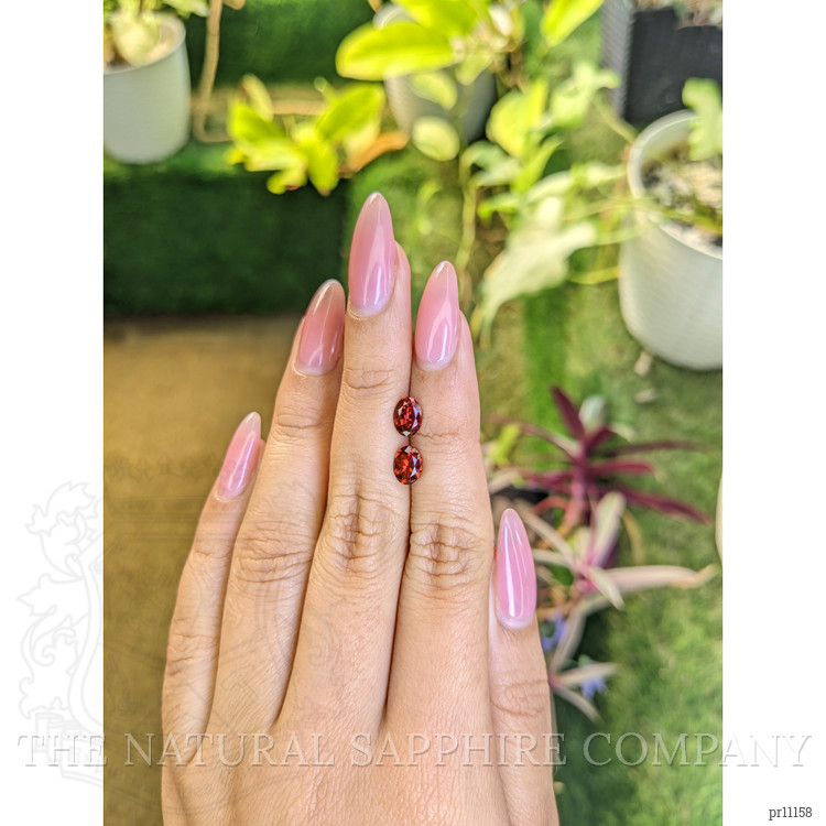 1.70 Ct.Tw. Garnet Pair from Ceylon (Sri Lanka)