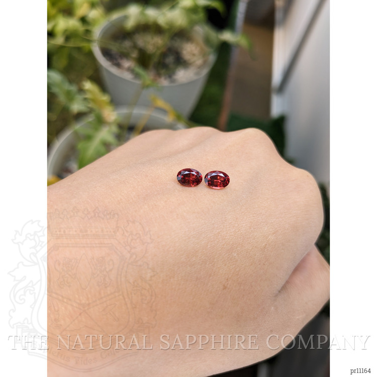 1.78 Ct.Tw. Garnet Pair from Ceylon (Sri Lanka)