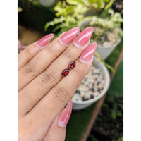 1.69&nbsp;Ct.Tw.Total Carat Weight Garnet Pair from Ceylon (Sri Lanka) Life Style