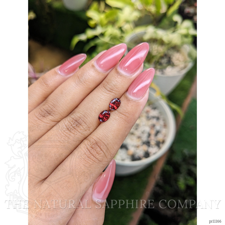 1.69 Ct.Tw. Garnet Pair from Ceylon (Sri Lanka)