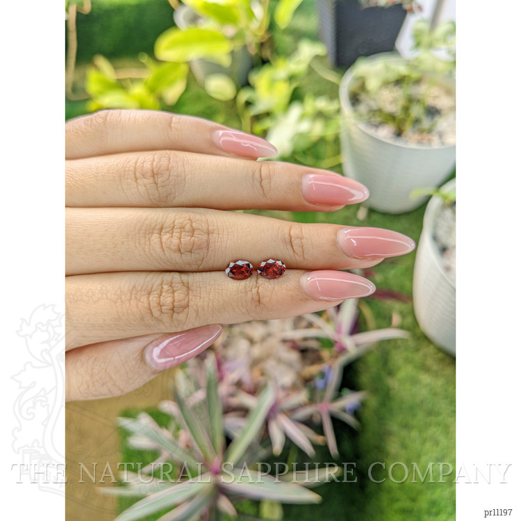 1.61 Ct.Tw. Garnet Pair from Ceylon (Sri Lanka)