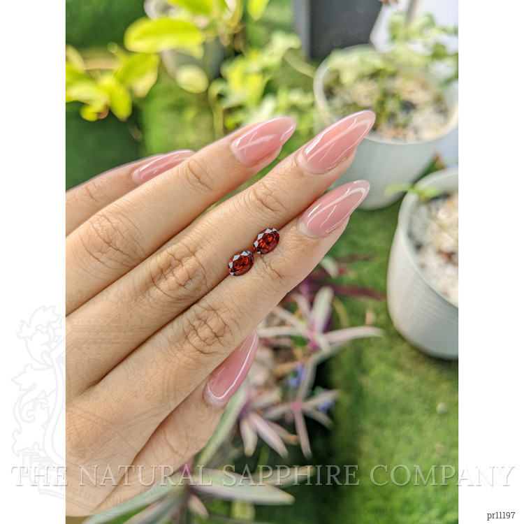 1.61 Ct.Tw. Garnet Pair from Ceylon (Sri Lanka)