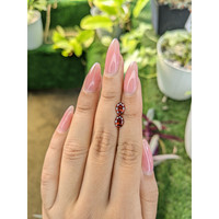 1.61&nbsp;Ct.Tw.Total Carat Weight Garnet Pair from Ceylon (Sri Lanka) Life Style