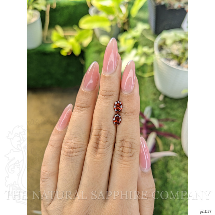 1.61 Ct.Tw. Garnet Pair from Ceylon (Sri Lanka)