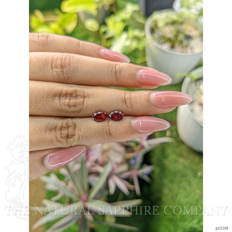 1.66 Ct.Tw. Garnet Pair from Ceylon (Sri Lanka)