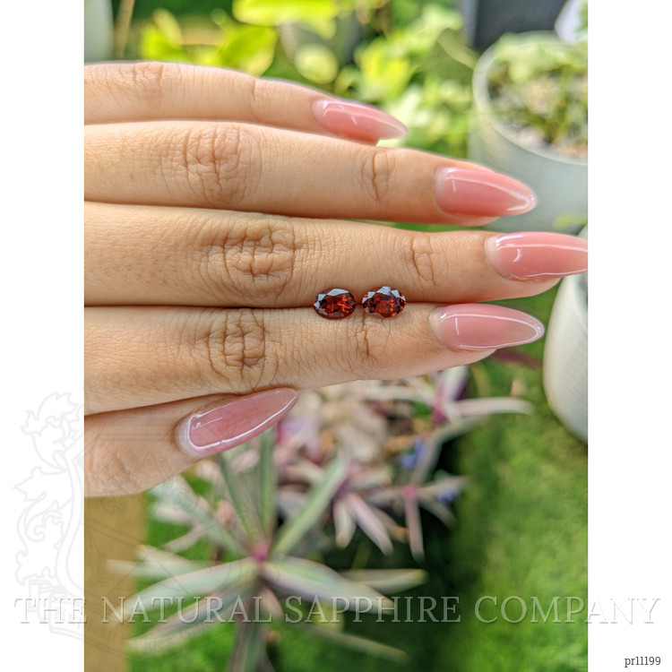 1.75 Ct.Tw. Garnet Pair from Ceylon (Sri Lanka)