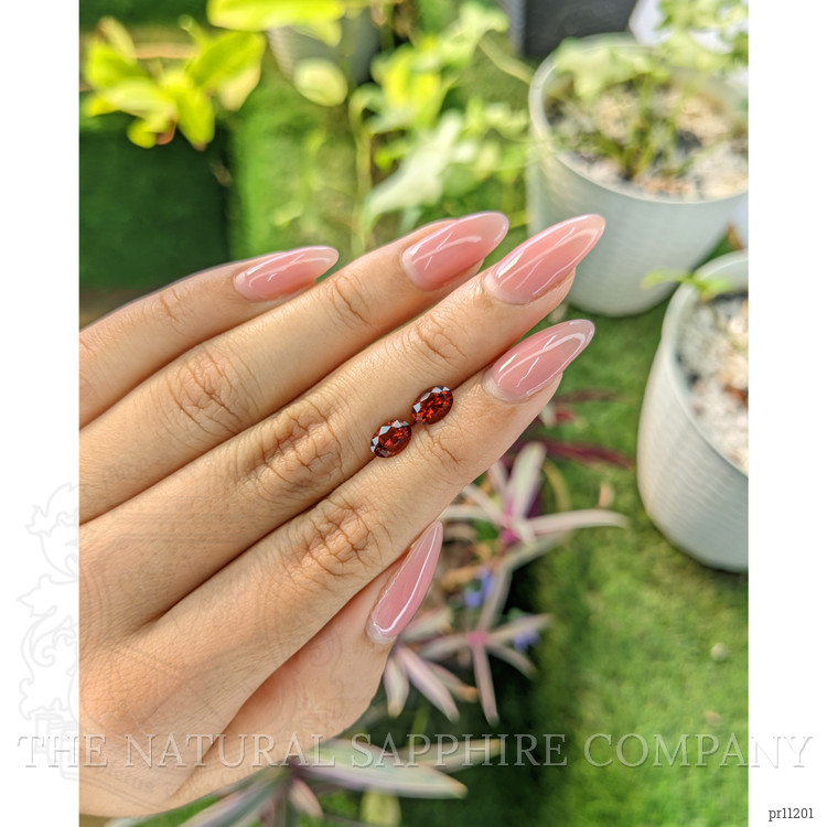 1.64 Ct.Tw. Garnet Pair from Ceylon (Sri Lanka)