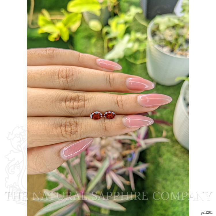 1.64 Ct.Tw. Garnet Pair from Ceylon (Sri Lanka)