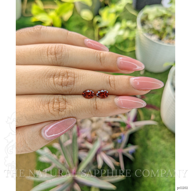 1.63 Ct.Tw. Garnet Pair from Ceylon (Sri Lanka)