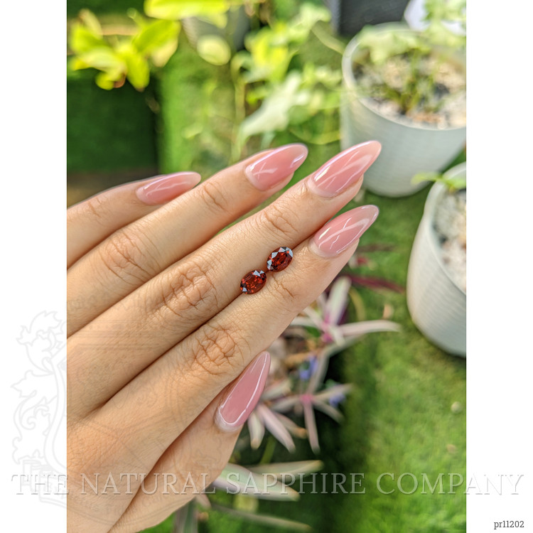 1.63 Ct.Tw. Garnet Pair from Ceylon (Sri Lanka)